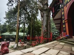 -青城山