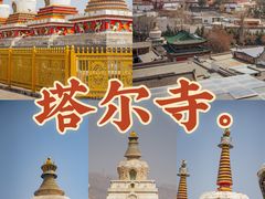 -塔尔寺