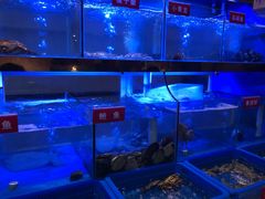 -小龍鳳·港式海鲜打边炉(沙湖路店)