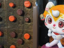 -卡通尼·Safari非洲探索乐园·生日会(金桥国际商业广场店)