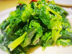 -素虎小呆鸟(西二旗店)