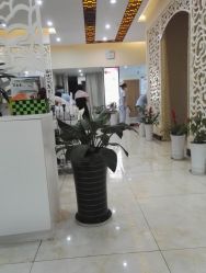 -再出发防脱发白发理疗中心