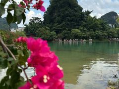 -靖西鹅泉风景区