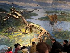 -自贡恐龙博物馆