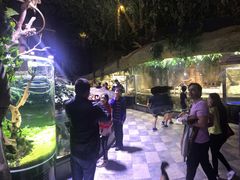 -迪拜水族馆及水下动物园
