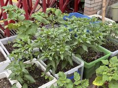 -StorHub 趣存自助仓·迷你仓(虹桥店)