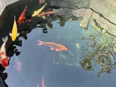-西安市广仁寺