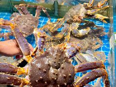 -连鹭海鲜·海肠捞饭·海胆饭(星海店)