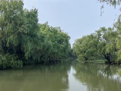 -长兴太湖图影湿地文化园