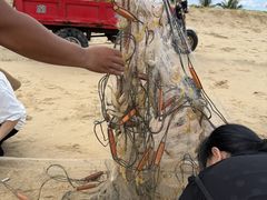 -浪琴湾度假村