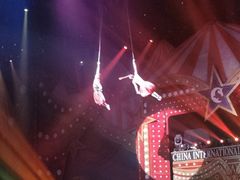 -珠海横琴长隆《卡卡虎奇遇记》