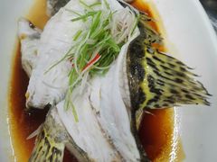 -燕坤食府