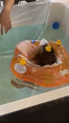 -爱贝蕊恩韩式月子会所(宝安店)