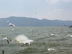 -海埂大坝