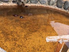 -华山御温泉度假村