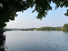 -眉山湿地公园(东坡区)