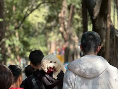 -南国桃园旅游度假区