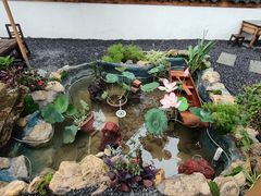 -伴山茶苑·围炉煮茶