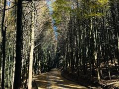 -山王坪喀斯特国家生态公园