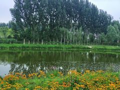 -东郊湿地公园