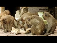 -昆明动物园