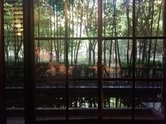 -东方明珠老上海8号餐厅(东方明珠广播电视塔店)