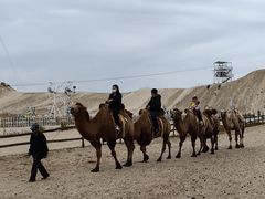 -库伦旗银沙湾旅游景区