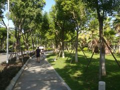 -厦门国家会计学院