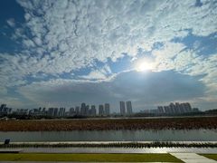 -月湖风景区