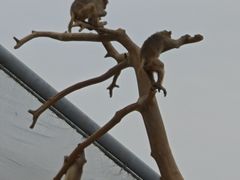 -太原动物园