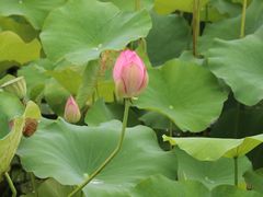 -费孝通江村纪念馆