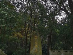 -南岳衡山风景名胜区