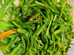 清炒水性杨花-老滇山寨•云南特色菜•地方菜•民族风情歌舞表演(金碧店)
