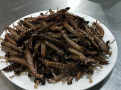 -夏家大锅台炖鱼馆