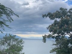 -洱海月湿地公园