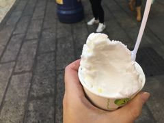 -柠檬车露(卖草地店)