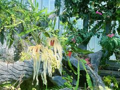 -国家植物园南园