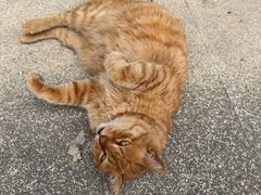 -浙江大学(玉泉校区)