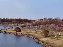 -上海海湾国家森林公园