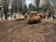 -长白岛森林公园