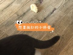 -好利来(回龙观西大街店)