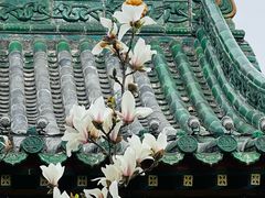 -迎泽公园