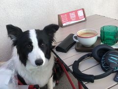 -72 COFFEE(东朝阳路店)