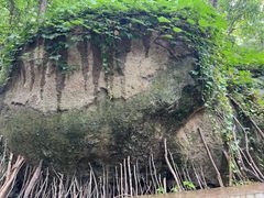 -白水寺森林公园