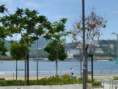 -宝安西湾红树林湿地公园