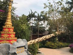 -瑞丽独树成林风景区