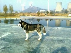 -永定河休闲森林公园