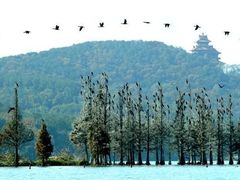 -东湖落雁景区