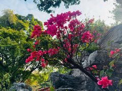 -荔湾湖公园