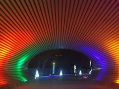 -枫花园汽车电影院(朝阳公园店)